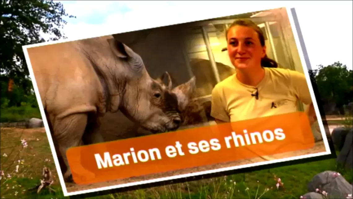 Marion et ses Rhinos