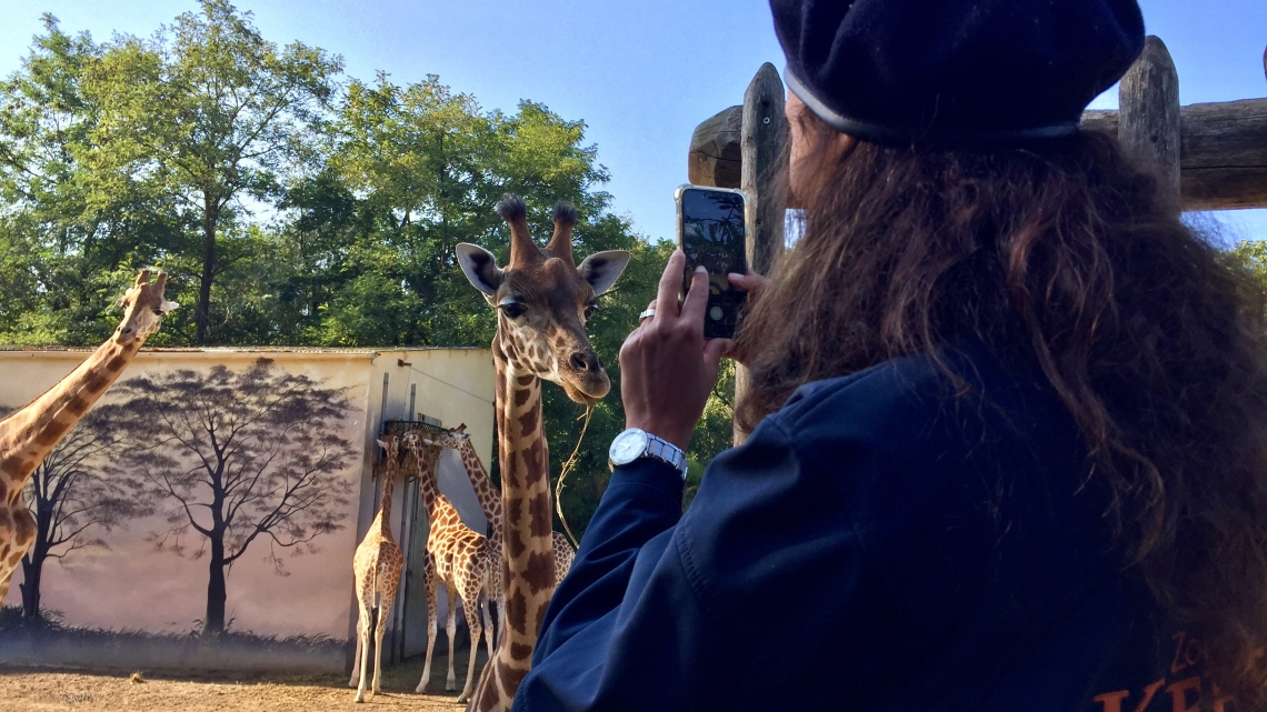 Nathalie au zoo de La Flèche