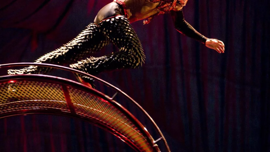CIRQUE DU SOLEIL : AMALUNA 