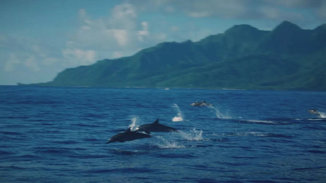 UNE SAISON A TAHITI