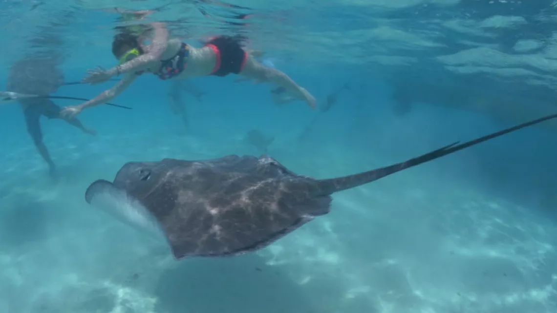 UNE SAISON À TAHITI