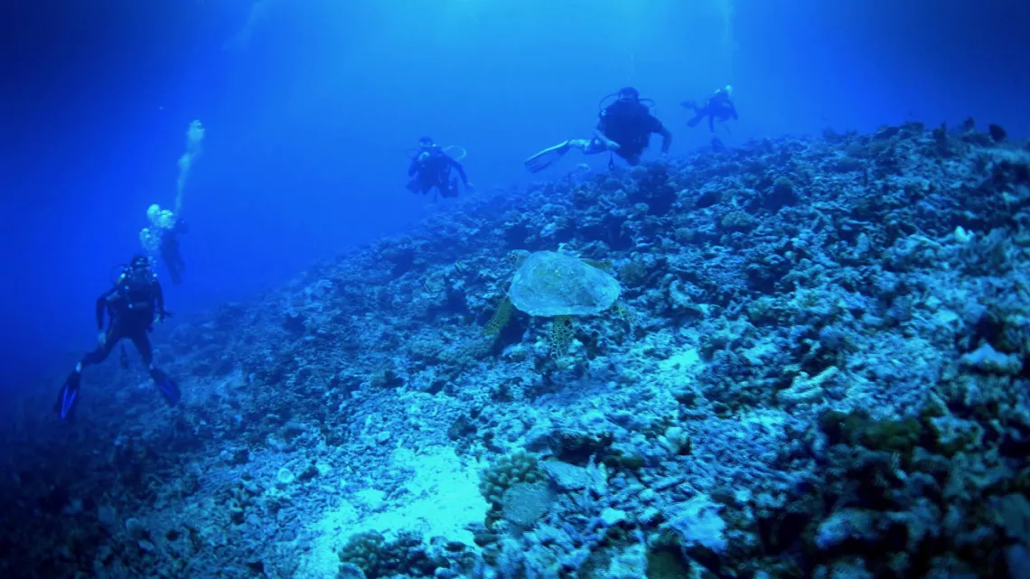 UNE SAISON À TAHITI