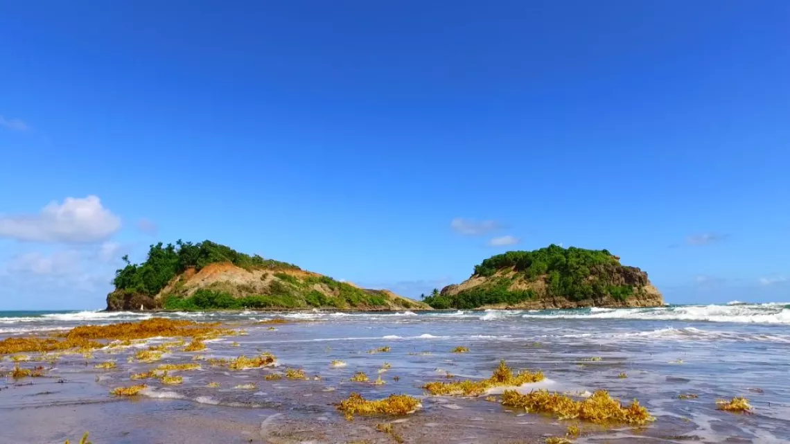 C'est ma terre : Martinique