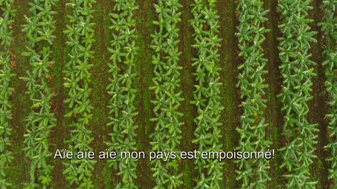 C'est ma terre