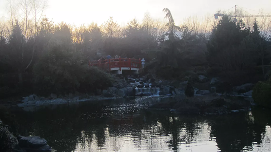 jardin zen©hanami