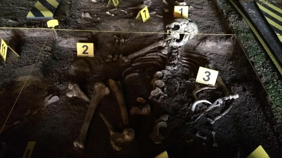 QUI A TUE NEANDERTAL ?