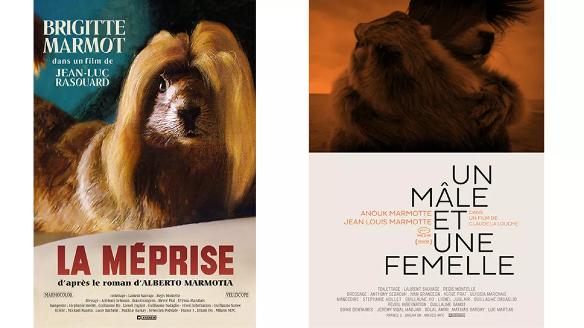 La Méprise et un mâle et une femelle 