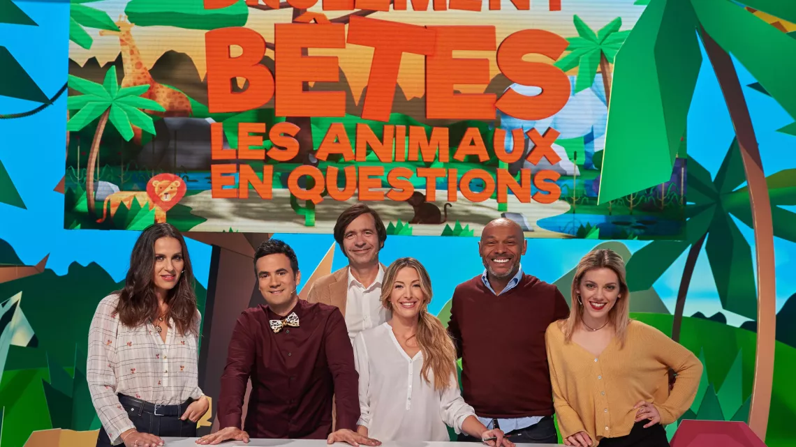 DRÔLEMENT BÊTES, LES ANIMAUX EN QUESTIONS
