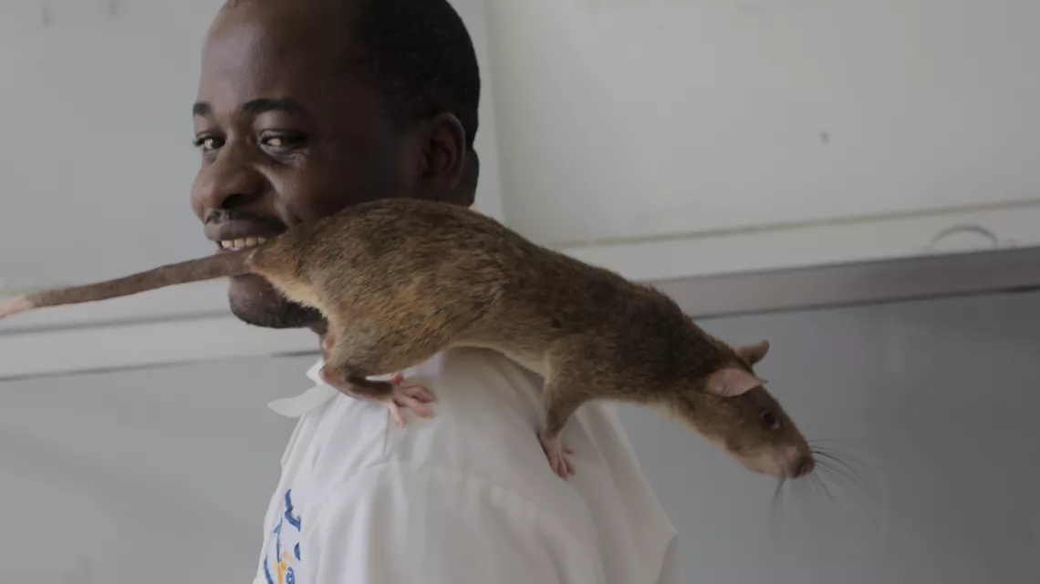 Les animaux face au terrorisme 3