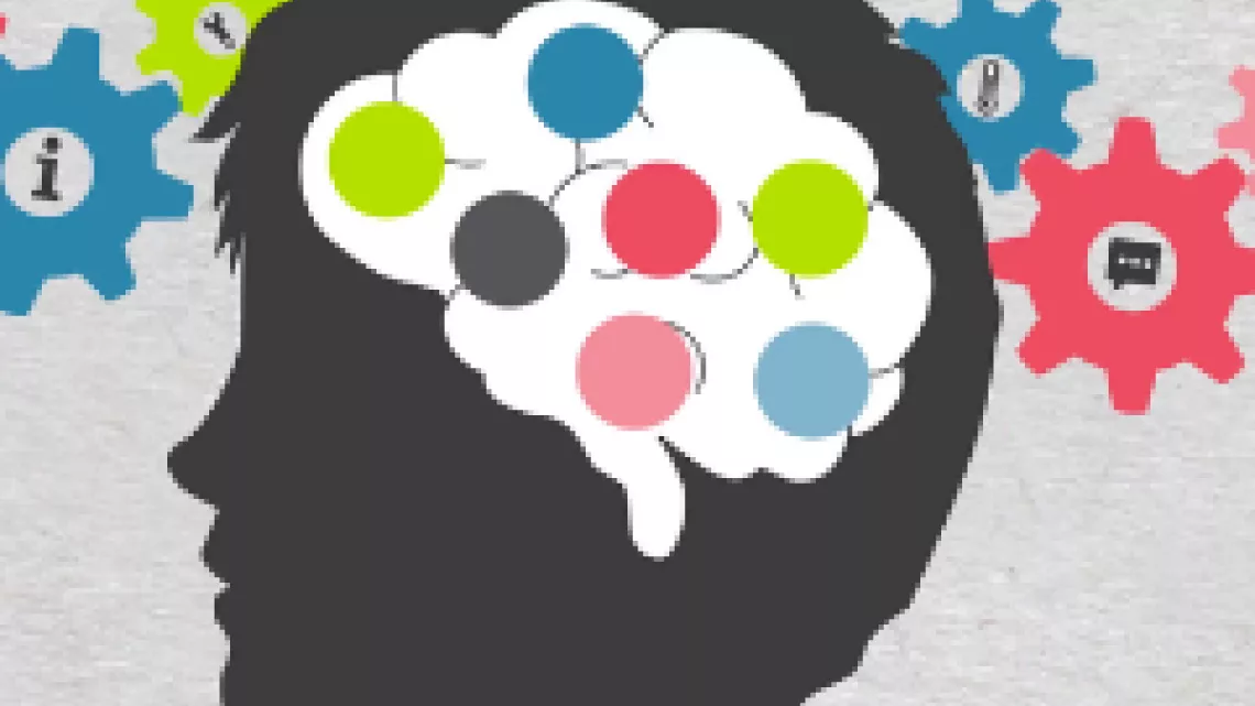 cerveau