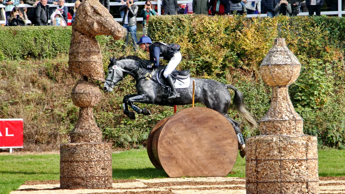 Lion d'Angers 4