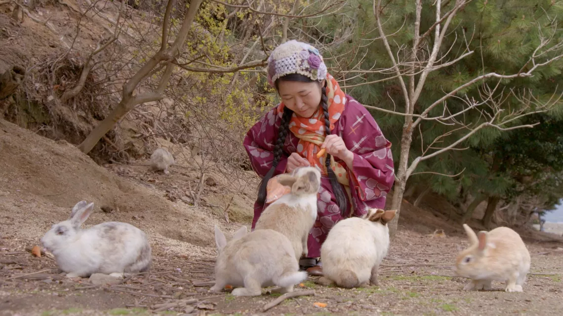 Lapins