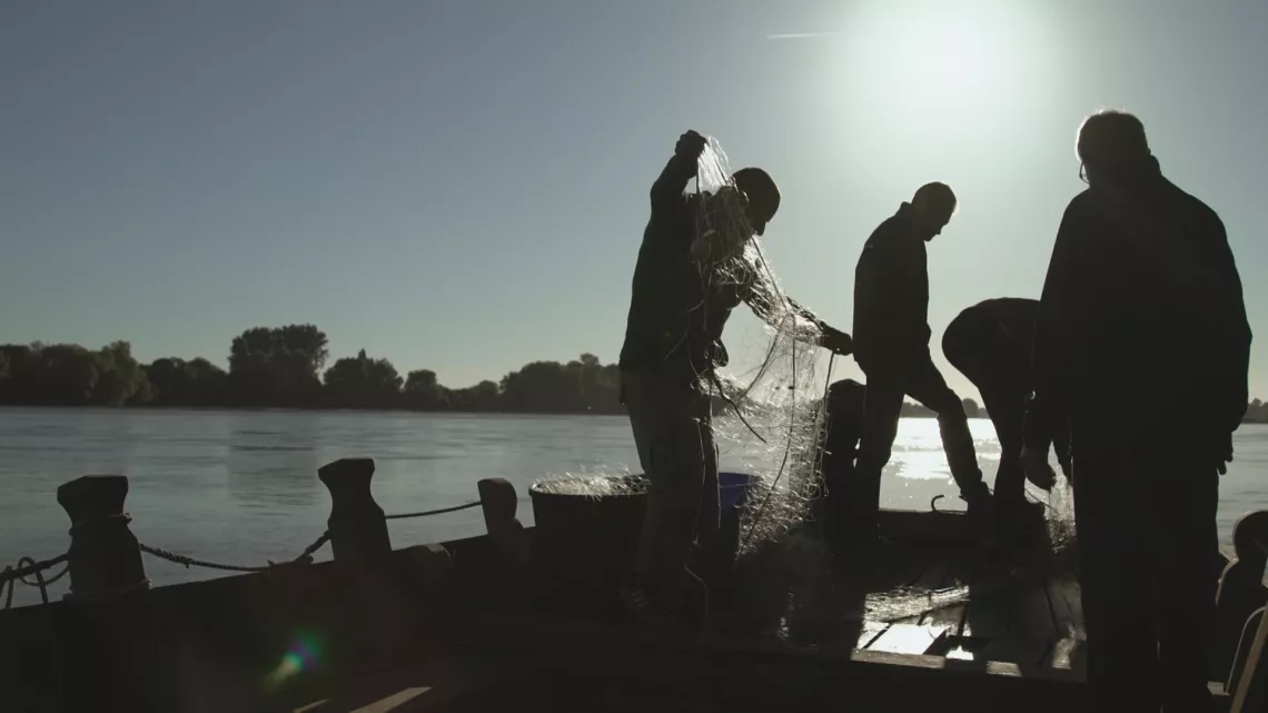 Il sont les Pays de la Loire 