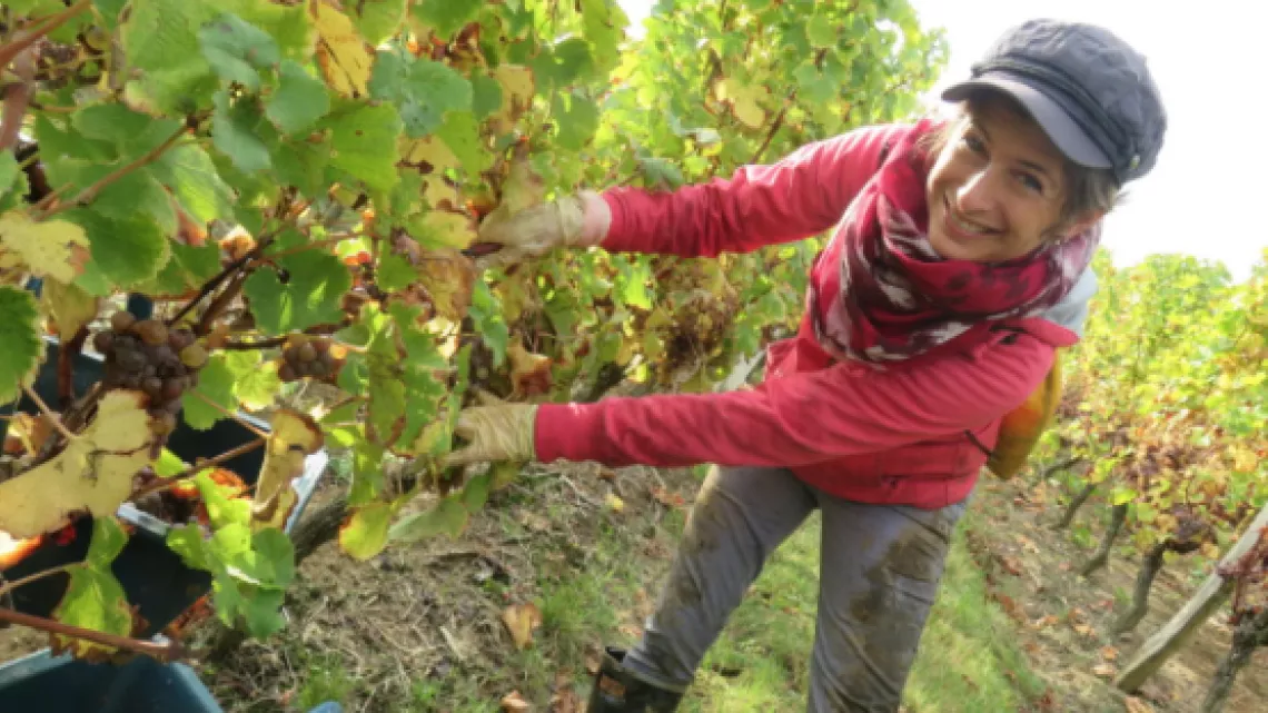Sylvie Alem, présidente de la cave coopérative Monbazillac