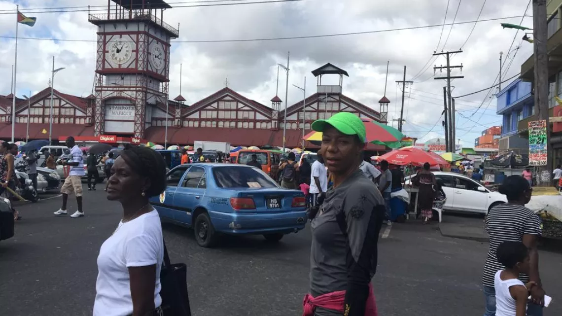 Magazine Caraïbes : culture de noix de coco au Guyana