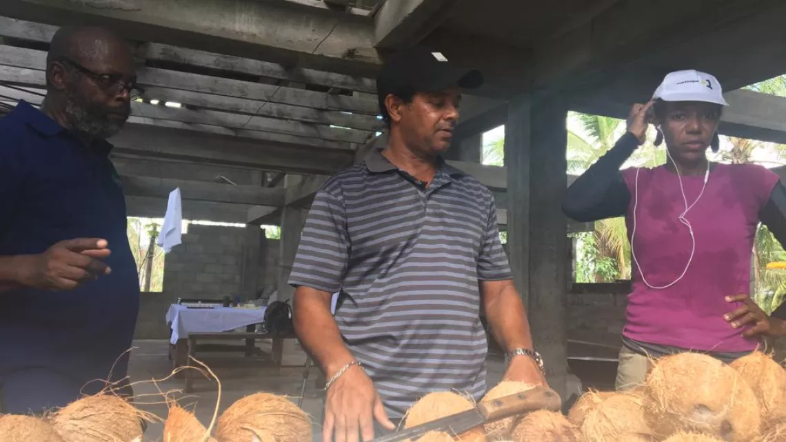 Magazine Caraïbes : culture de noix de coco au Guyana