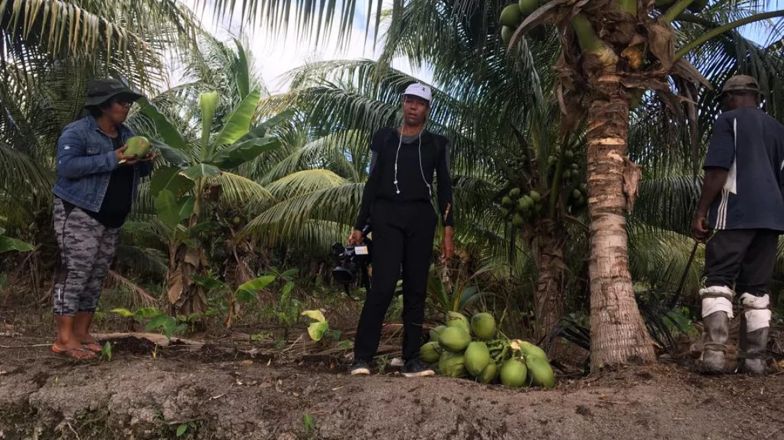 Magazine Caraïbes : culture de noix de coco au Guyana