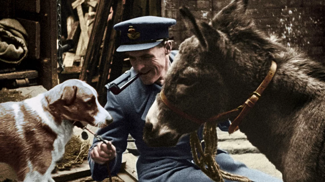 39-45, les animaux dans la guerre