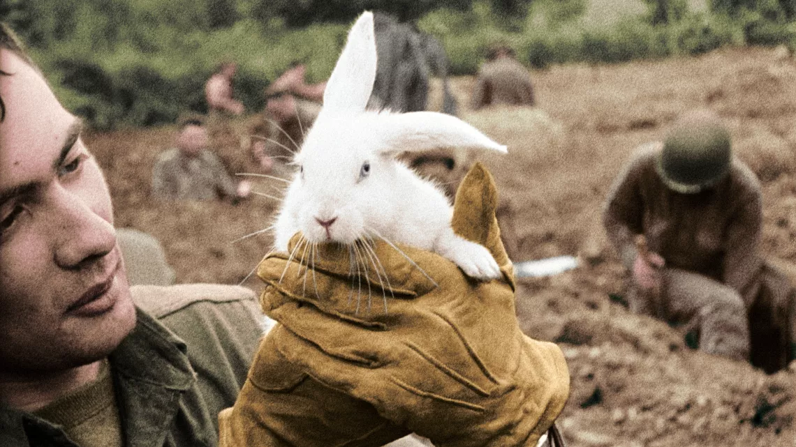 39-45, les animaux dans la guerre