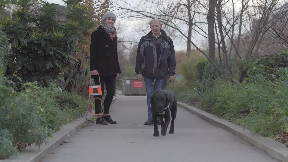 LE MONDE DE JAMY ILS NOUS SAUVENT, ILS NOUS SOIGNENT : CES ANIMAUX QUI NOUS FONT DU BIEN !