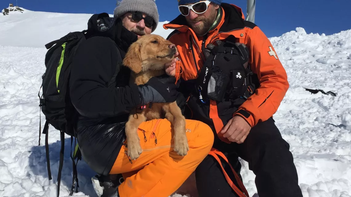 LE MONDE DE JAMY ILS NOUS SAUVENT, ILS NOUS SOIGNENT : CES ANIMAUX QUI NOUS FONT DU BIEN !