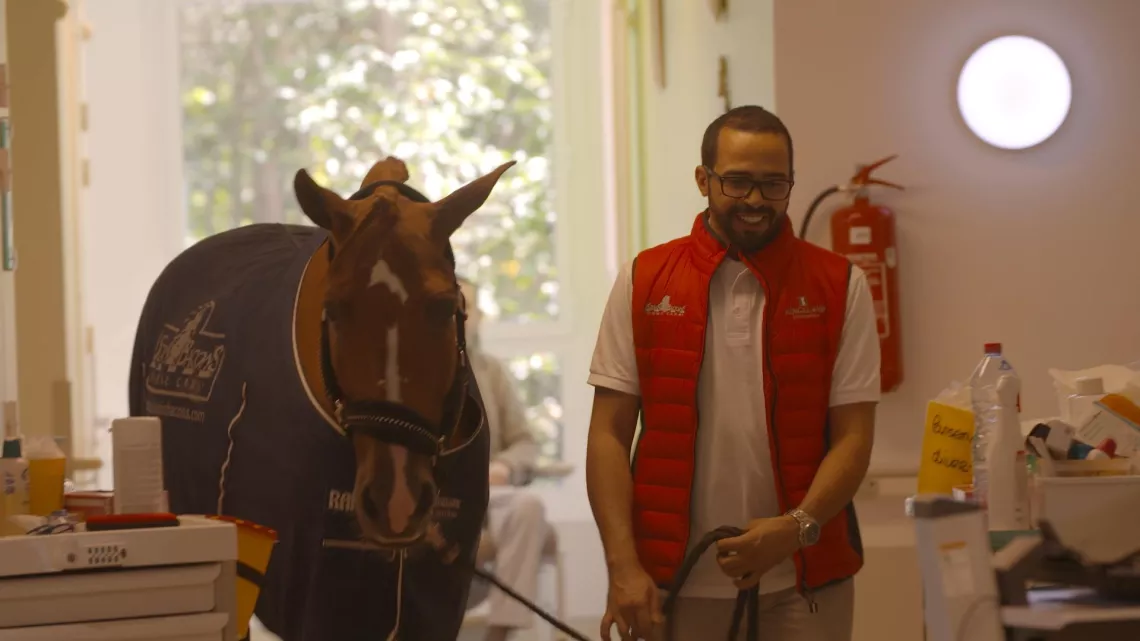 LE MONDE DE JAMY ILS NOUS SAUVENT, ILS NOUS SOIGNENT : CES ANIMAUX QUI NOUS FONT DU BIEN !