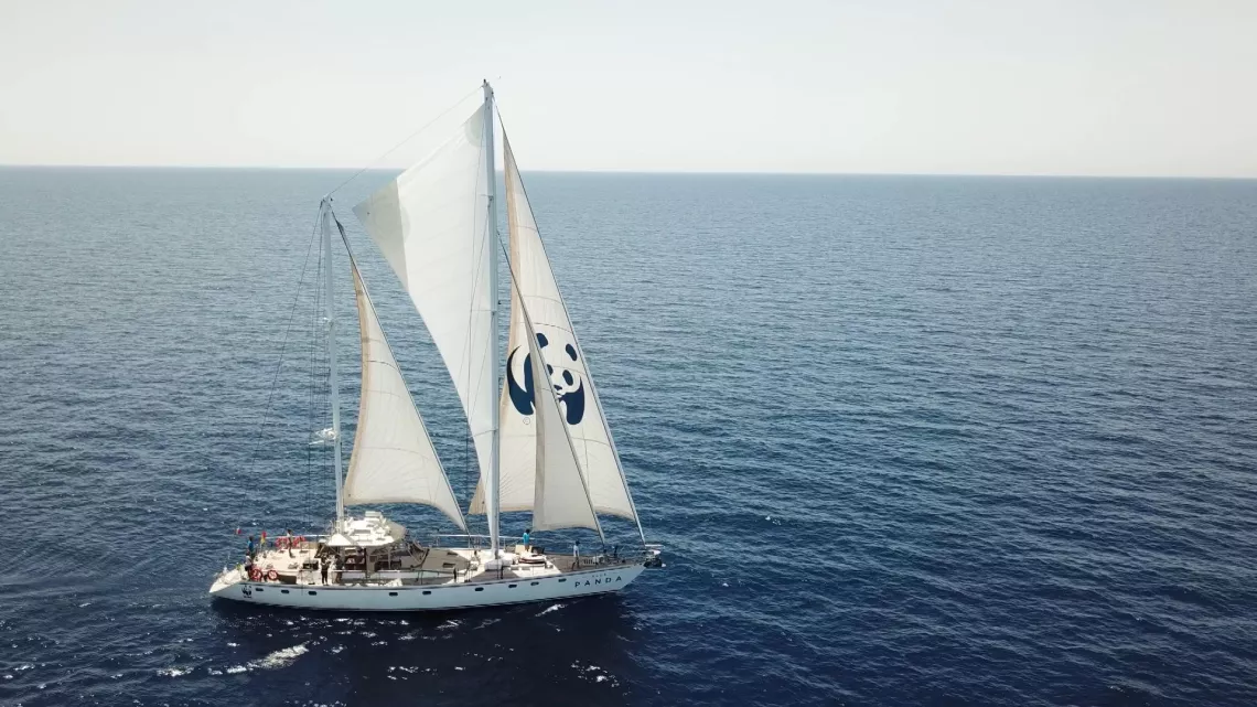 Sur les front des océans ©Winter productions