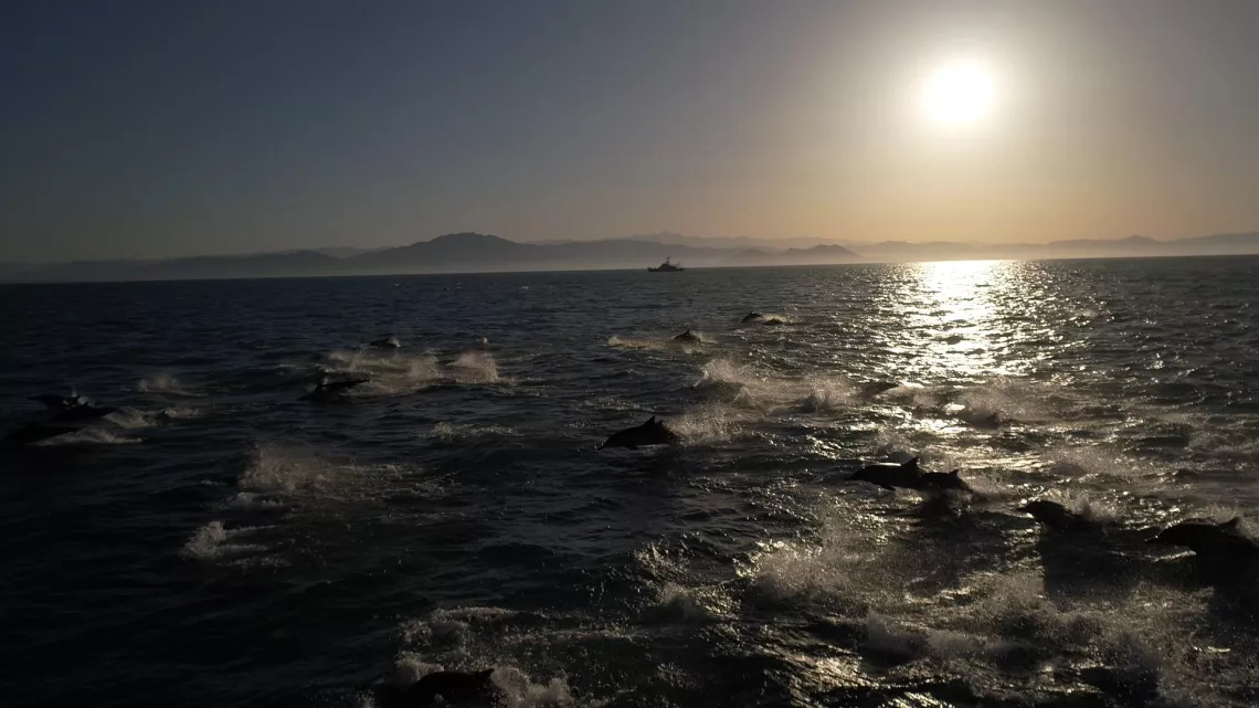 Sur les front des océans ©Winter productions