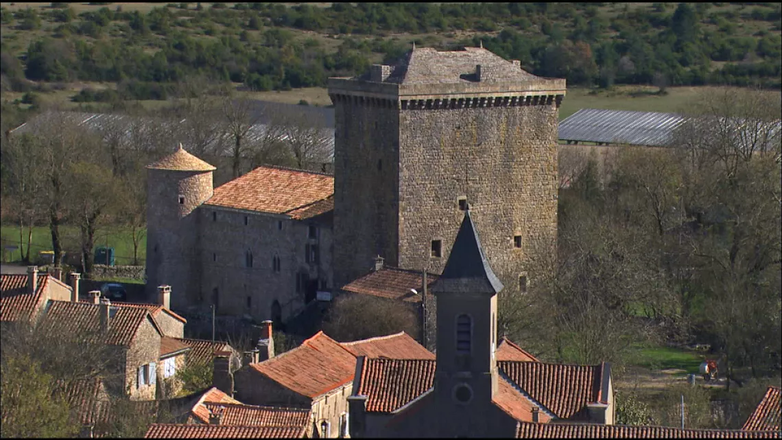 Viala du palais de Jaux
