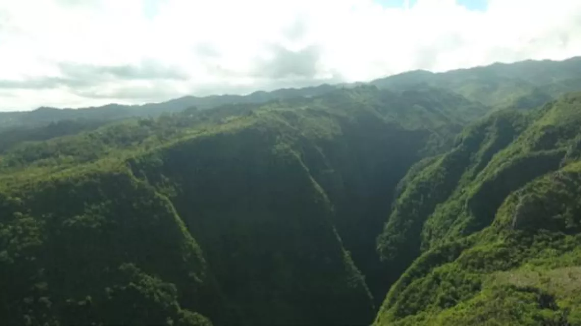 ARCHIPELS : ÎLE DE LA RÉUNION- AU SECOURS DES PLANTES