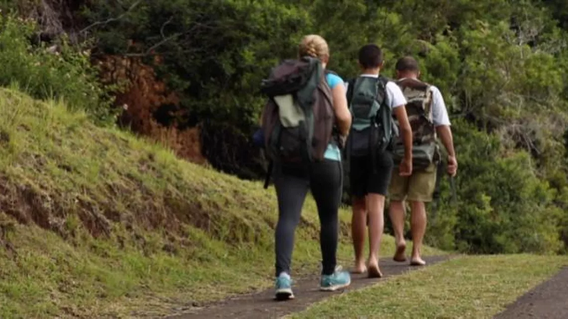 LA RÉUNION- AU SECOURS DES PLANTES