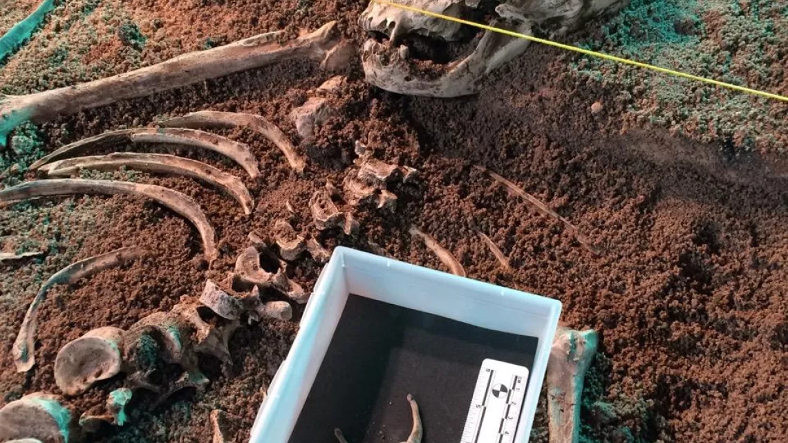 QUI A TUE NEANDERTAL ?