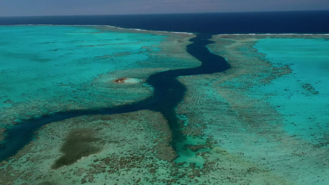 Nouvelle-Calédonie, l'île sauvage