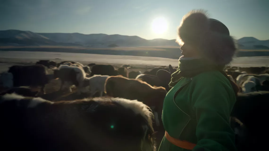 RENDEZ-VOUS EN TERRE INCONNUE AVEC NAWELL MADANI CHEZ LES ÉLEVEURS DE YAKS DE MONGOLIE