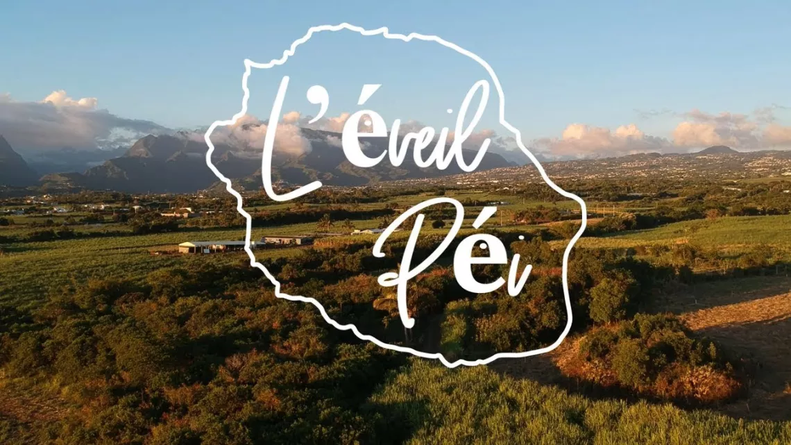 ARCHIPELS : L'EVEIL PEI