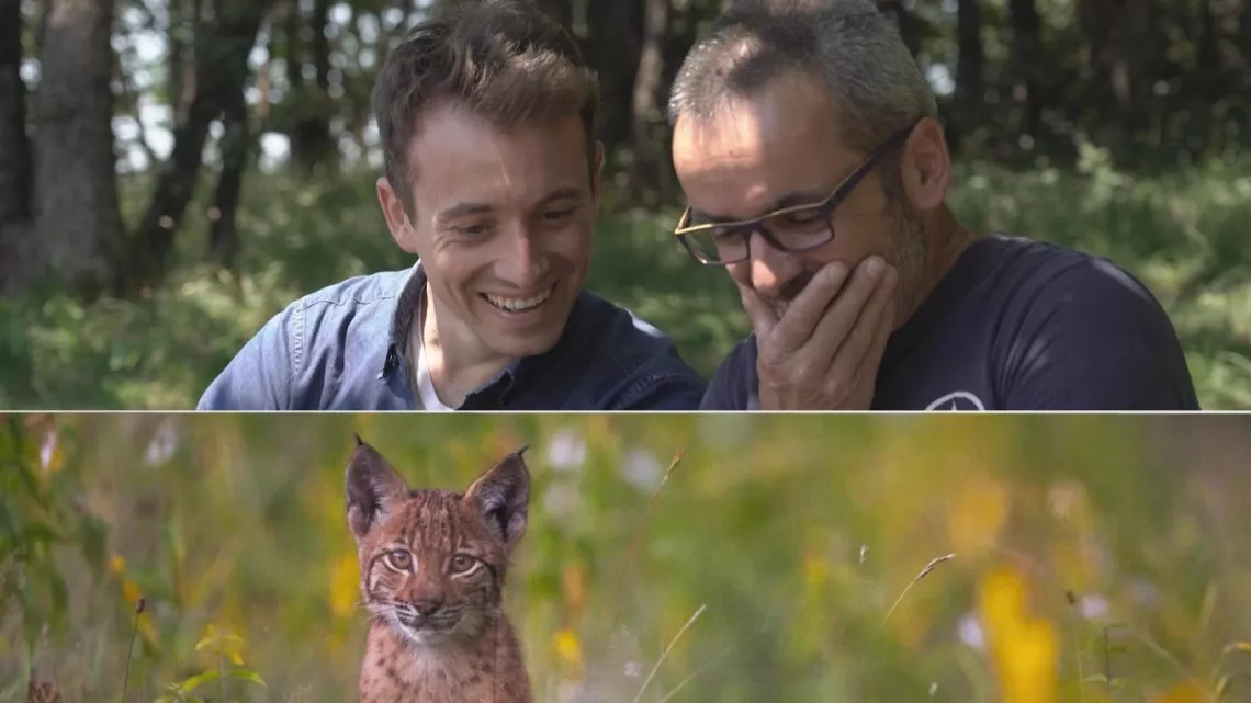 Hugo et le lynx
