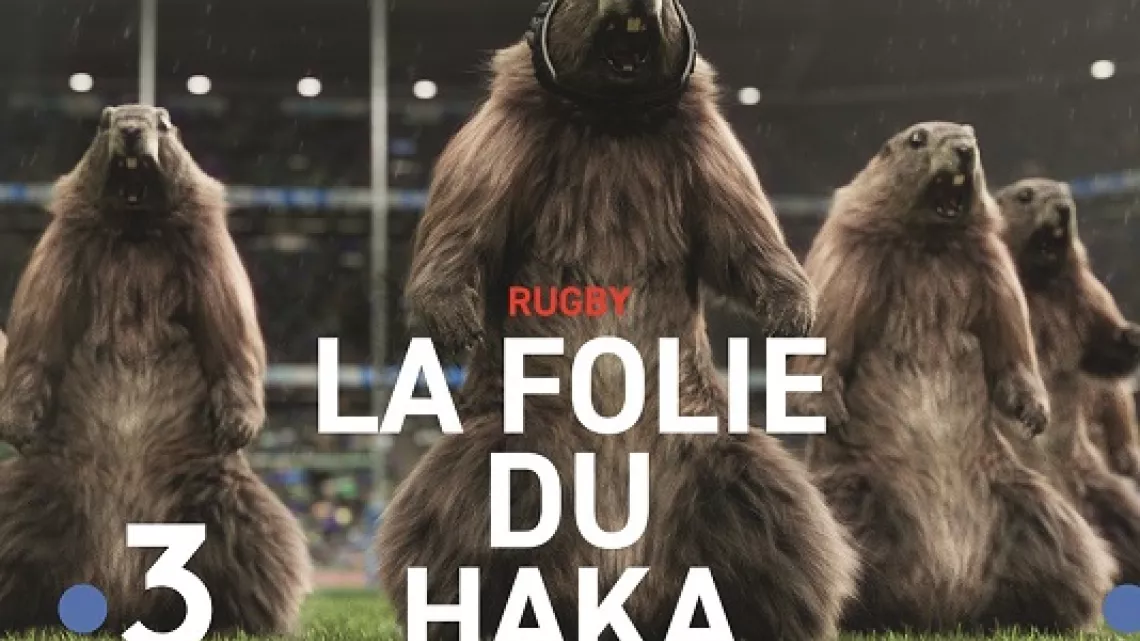 marmottes rugby