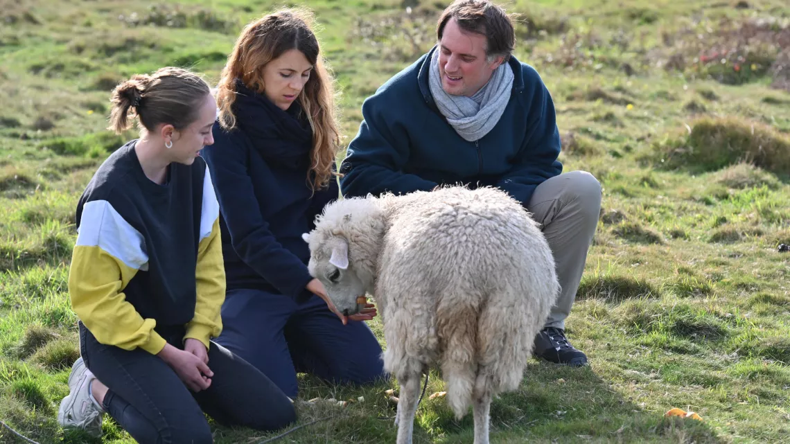 NOS TERRES INCONNUES AVEC NICOLE FERRONI SUR l’ÎLE D’OUESSANT