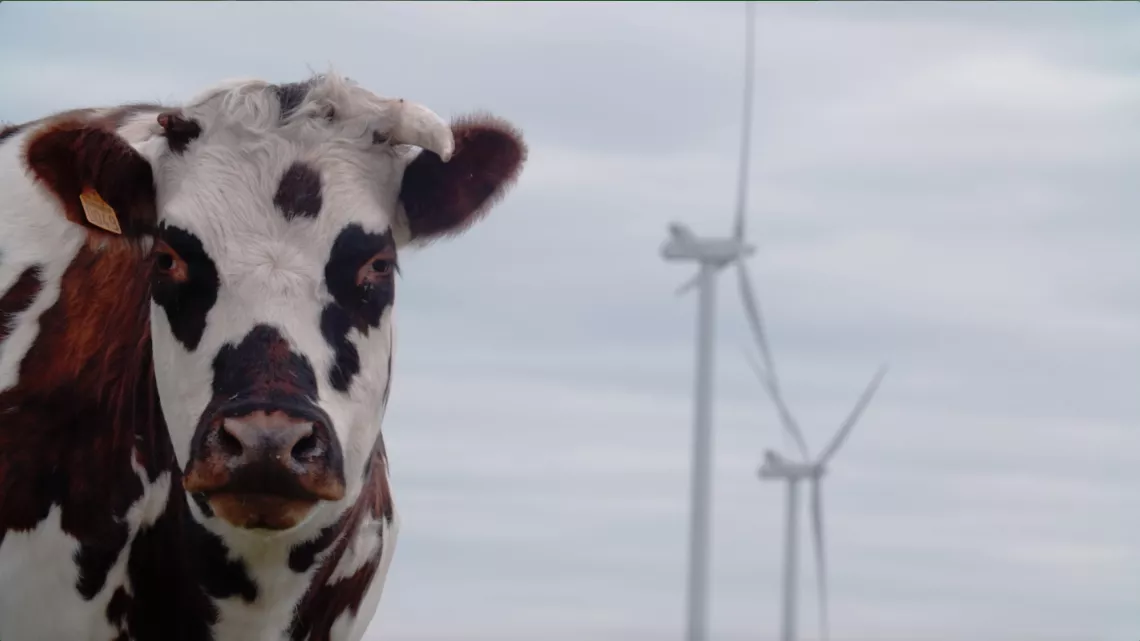 Vache éolienne Nantes 