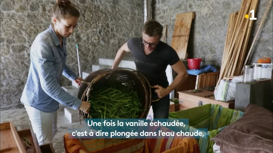 ARCHIPELS : LA VANILLE BOURBON, UN PATRIMOINE INESTIMABLE