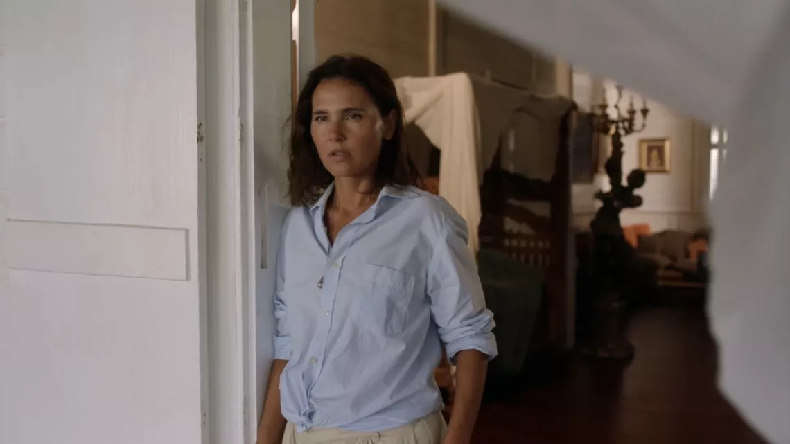 virginie ledoyen