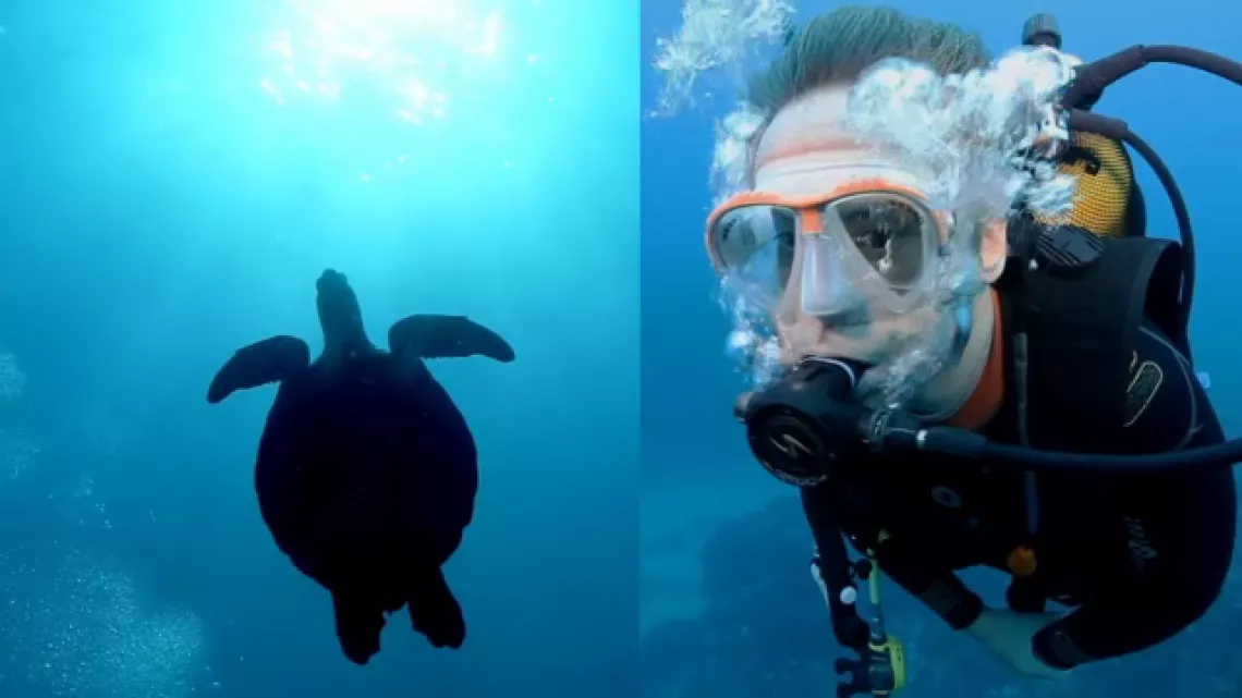 FAUT PAS RÊVER A LA REUNION