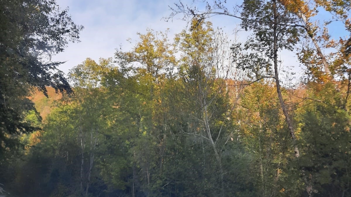 Nous, les Européens sur les routes de la Drôme aux couleurs automnales