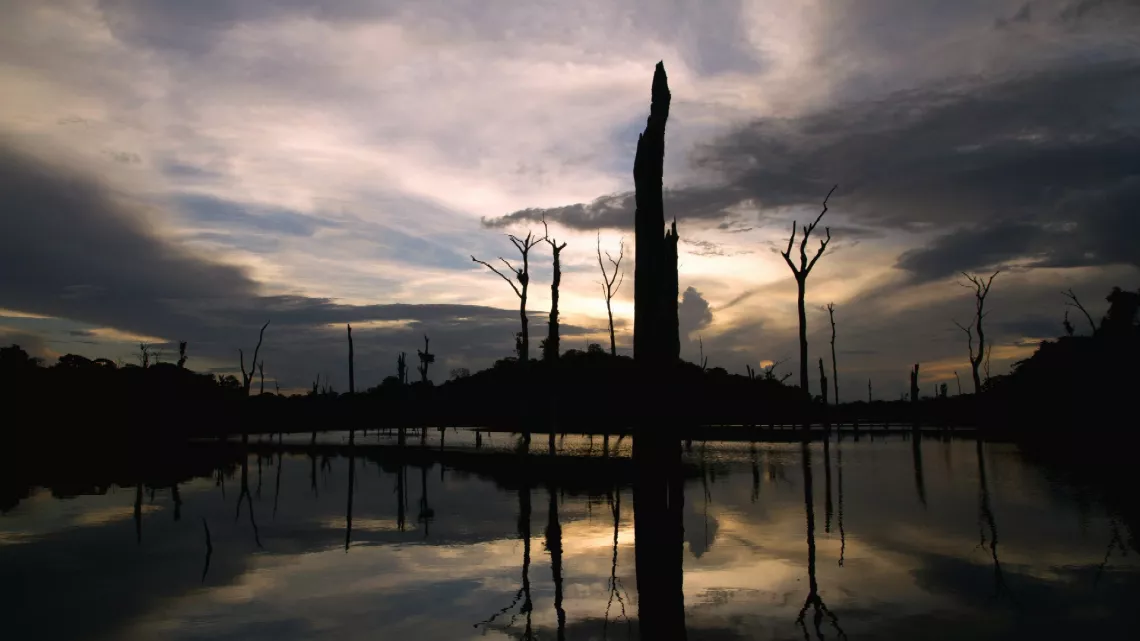 Histoire humaine de l'Amazonie