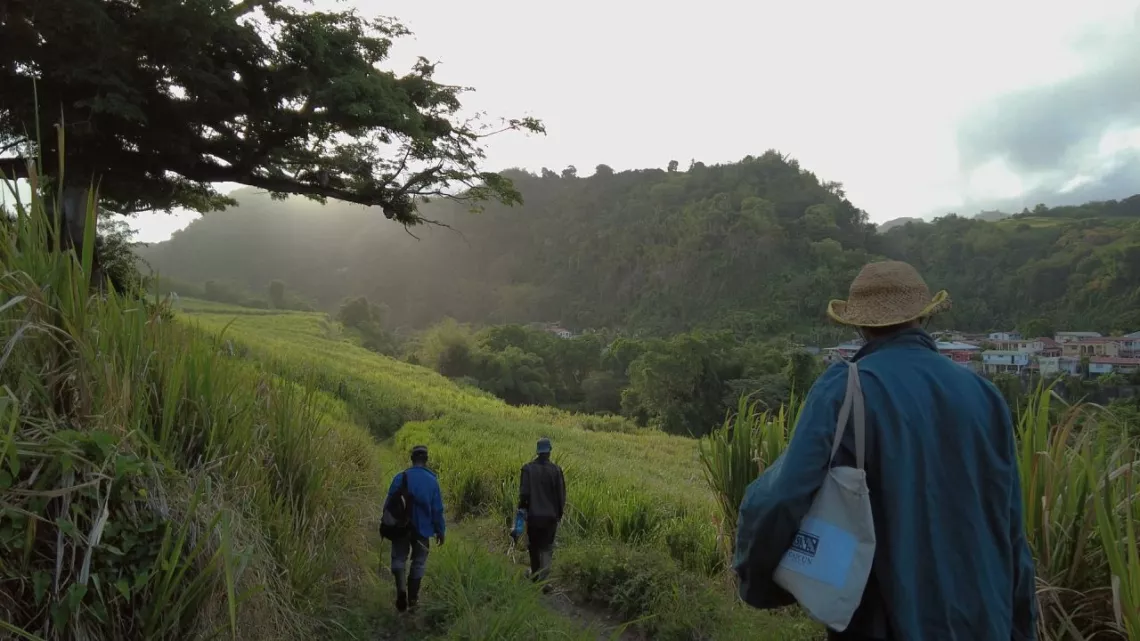 Documentaire : Martinique, les yeux ouverts