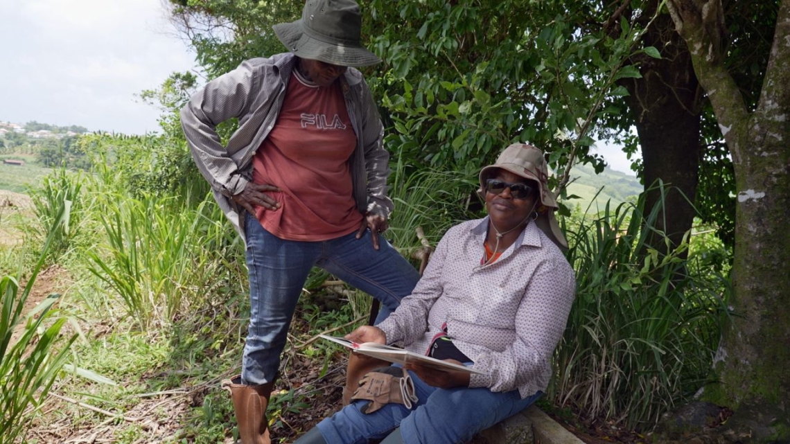 Documentaire : Martinique, les yeux ouverts