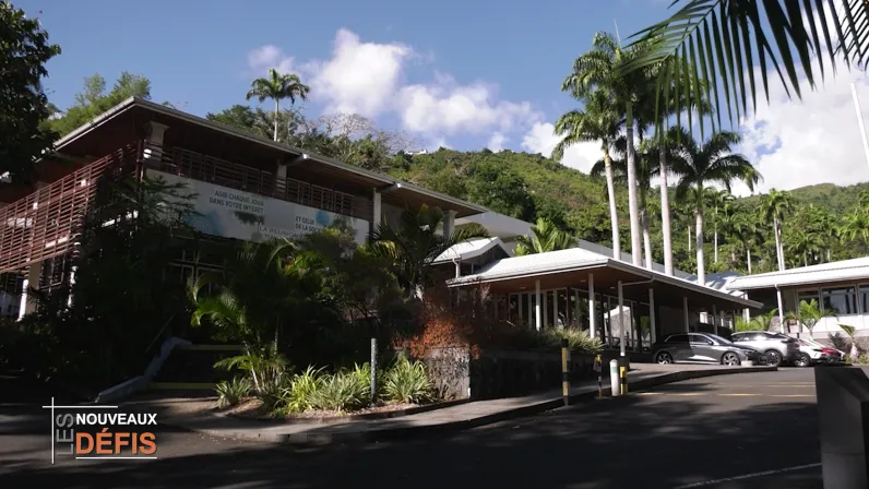 Innover, produire localement et préserver notre île : quels sont les nouveaux visages de l’économie réunionnaise ? 🚀🇷🇪 Ce jeudi à 19h45 sur Réunion la 1ère, Les Nouveaux Défis vous plongent au cœur des initiatives qui transforment notre territoire 💡. De l’industrie ménagère locale aux technologies anti-moustiques 🦟, découvrez celles et ceux qui façonnent La Réunion de demain ! 🌿💪