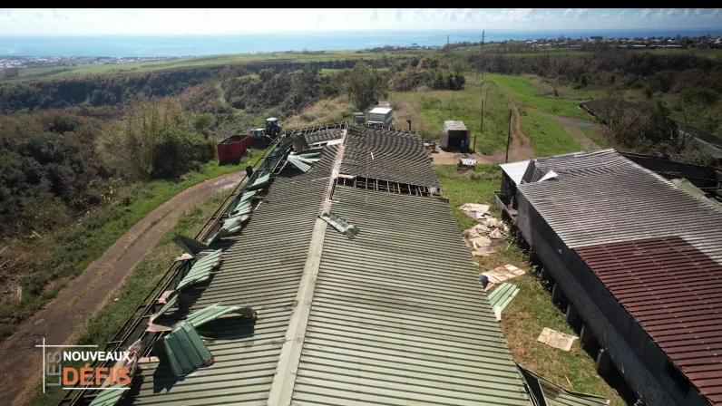 Les Nouveaux Défis, votre rendez-vous avec l’économie de l'île sur Réunion la 1ère : Best of 2025