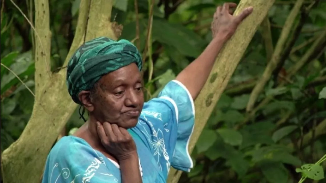 Café calédonien : l’alchimie d’un pays