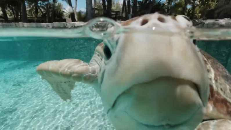 Bora Bora, le laboratoire du futur